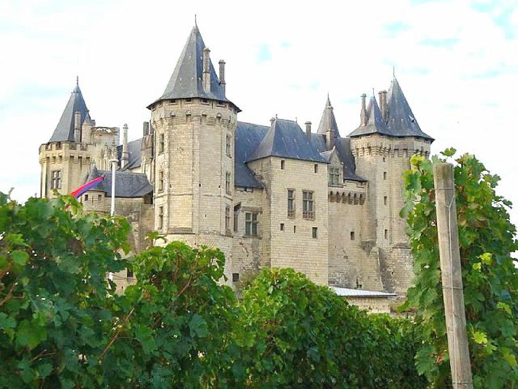 149 DOMAINE DE BLAIRE ET ENVIRONS MAINE ET LOIRE 2016 N0_000039.jpg